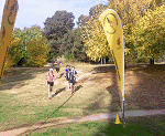 New Flags at Fadden Pines